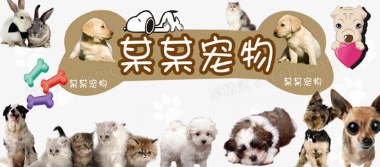 tokenpocket科技公司