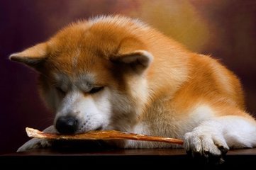 tp钱包app下载安卓