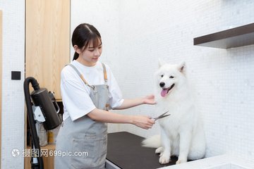 欧意钱包usdt 钱包