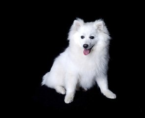 欧易app钱包下载