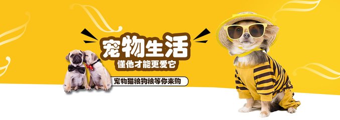 metamask钱包编程