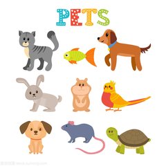 plus token官网