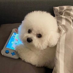 虚拟币手机钱包下载