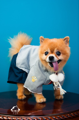Token下载