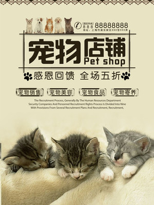 tp钱包app 下载安装