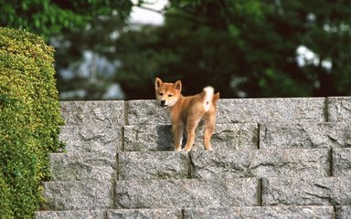 ios版imtoken