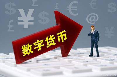 bsc钱包只有usdt