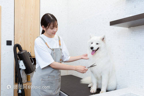小狐狸静态钱包收益