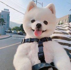 比特币钱包推荐