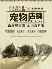 LTC钱包app下载